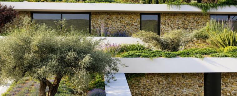 Green roof of the lower villa merging into the hillside